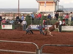 Wild Pony Race, Laramie Jubilee Days 2013